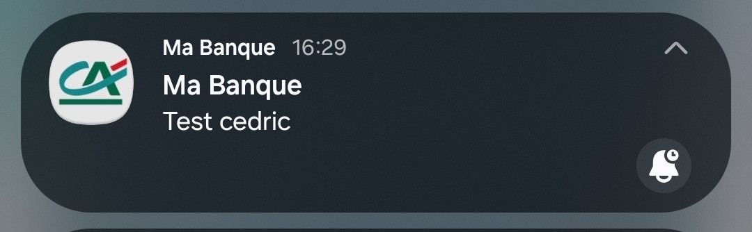 Capture pour Cédric